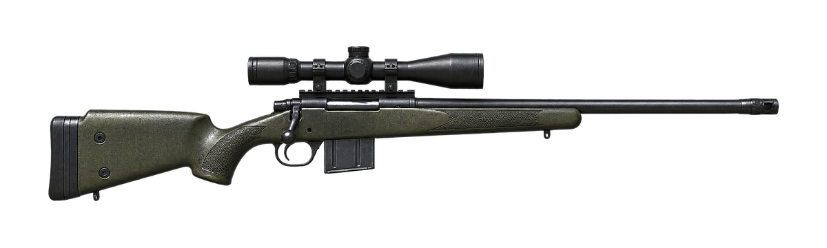 M24 Sniper gun sound illustration